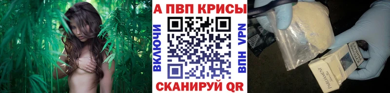 A PVP Соль  Камызяк 