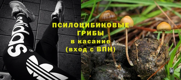хмурый Алексеевка