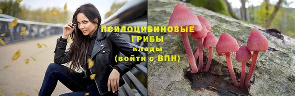хмурый Алексеевка
