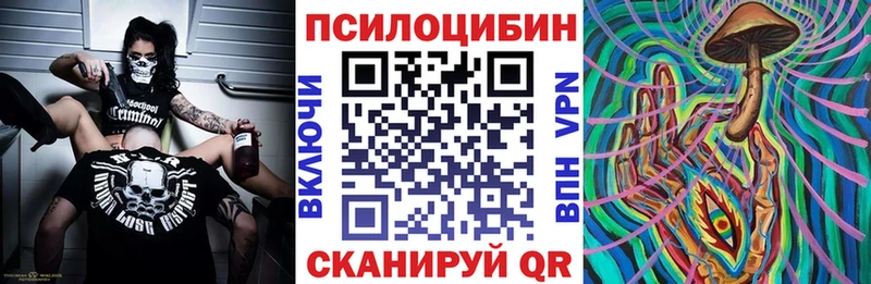 Псилоцибиновые грибы Cubensis  Камызяк 